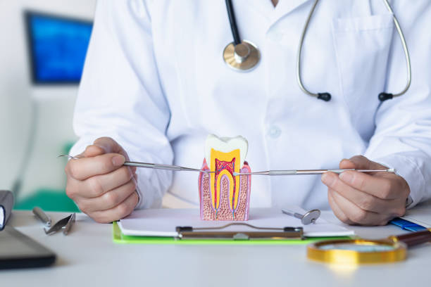 Best Pediatric Emergency Dentist in Bainbridge Island, WA